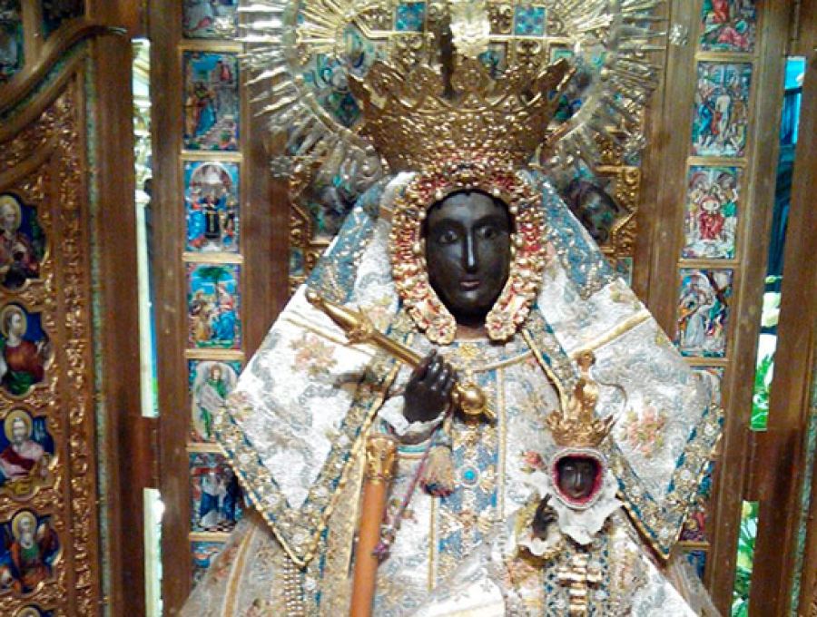 DÍA DE LA FRATERNIDAD