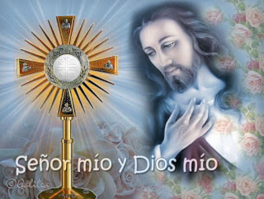 SEGUNDO DOMINGO DE PASCUA “Dichosos los que creen sin haber visto”