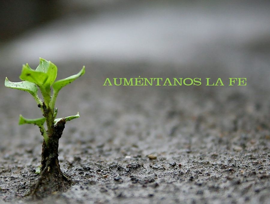¡Auméntanos la fe!