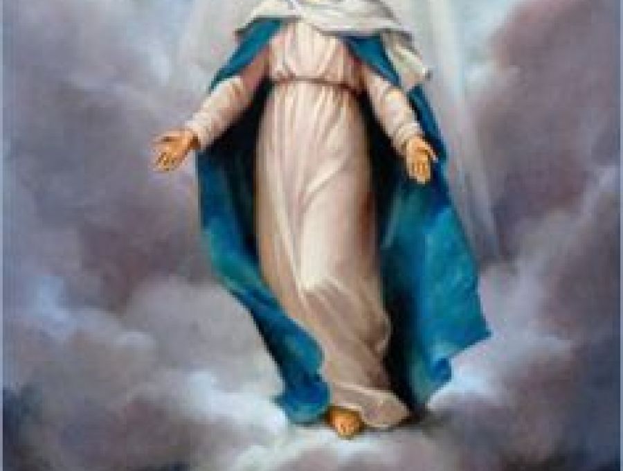 AL CIELO VAIS, SEÑORA