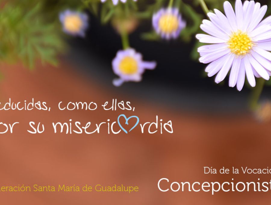 Día de la Vocación Concepcionista
