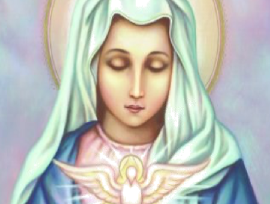 Carta Coordinadora. Solemnidad de la Inmaculada