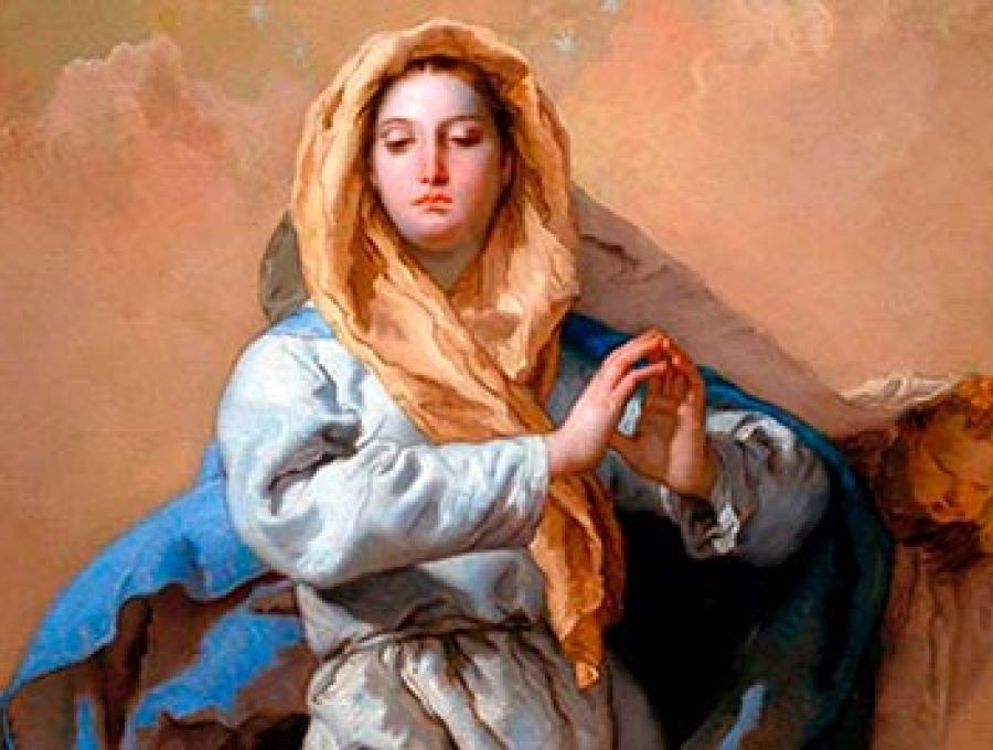 Carta del asistente. Solemnidad de la Inmaculada Concepción