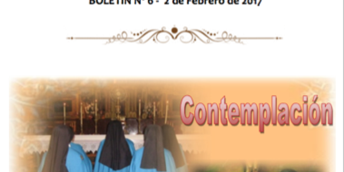 Boletín 6 - Contemplación y Vida