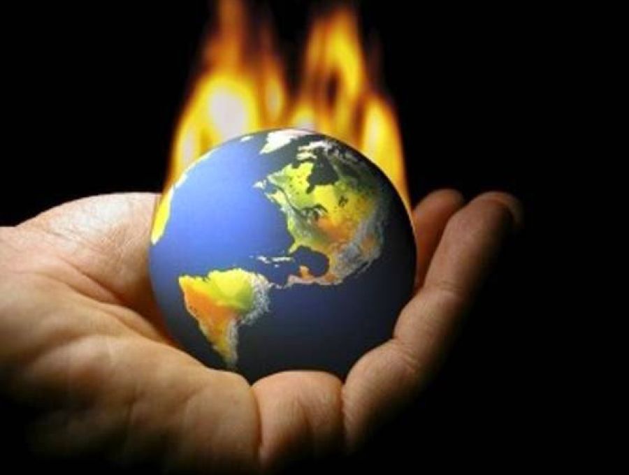 NO PUEDE HABER VIDA SIN LUCHA